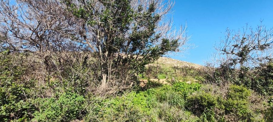 0 Bedroom Property for Sale in Vakansieplaas Western Cape